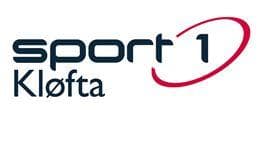Sponsor logo #2